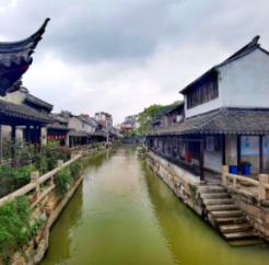 重庆市人大代表、铜梁区委书记谭庆：铜梁以高度政治责任感推进“一号工程” 打造成渝中部产业新高地
